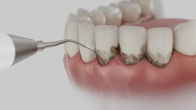 Reliable Dental contractor in St. Paul, VA by Dentist Open Now